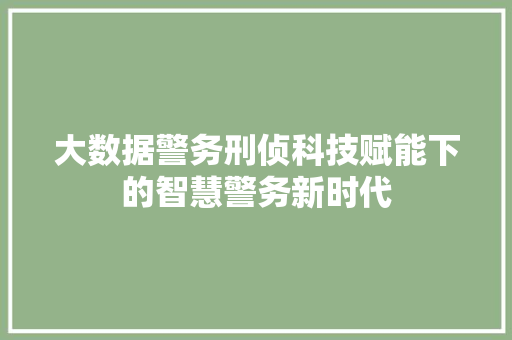 大数据警务刑侦科技赋能下的智慧警务新时代