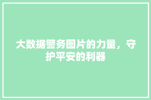 大数据警务图片的力量，守护平安的利器
