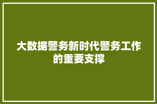 大数据警务新时代警务工作的重要支撑