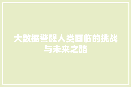 大数据警醒人类面临的挑战与未来之路