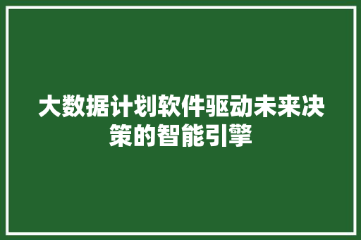 大数据计划软件驱动未来决策的智能引擎
