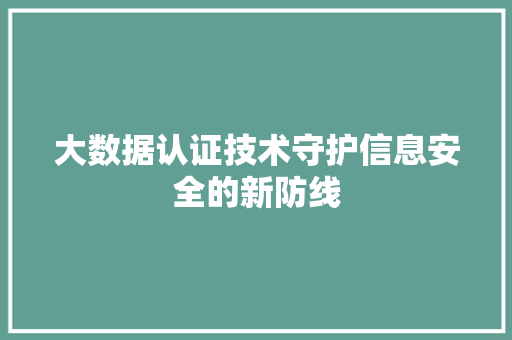 大数据认证技术守护信息安全的新防线 大数据认证技术守护信息安全的新防线