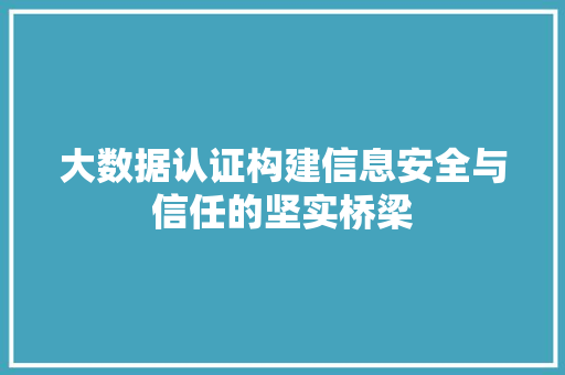 大数据认证构建信息安全与信任的坚实桥梁 大数据认证构建信息安全与信任的坚实桥梁