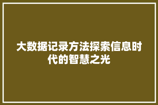 大数据记录方法探索信息时代的智慧之光 大数据记录方法探索信息时代的智慧之光