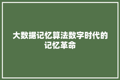 大数据记忆算法数字时代的记忆革命 大数据记忆算法数字时代的记忆革命