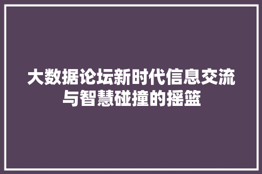 大数据论坛新时代信息交流与智慧碰撞的摇篮