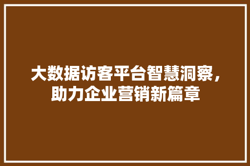 大数据访客平台智慧洞察，助力企业营销新篇章