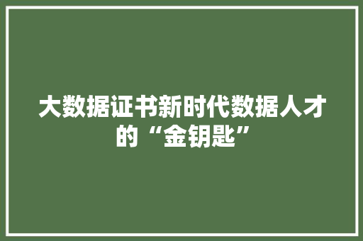 大数据证书新时代数据人才的“金钥匙”