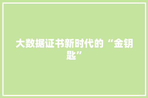 大数据证书新时代的“金钥匙”