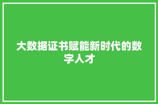 大数据证书赋能新时代的数字人才