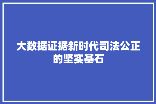 大数据证据新时代司法公正的坚实基石