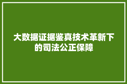 大数据证据鉴真技术革新下的司法公正保障