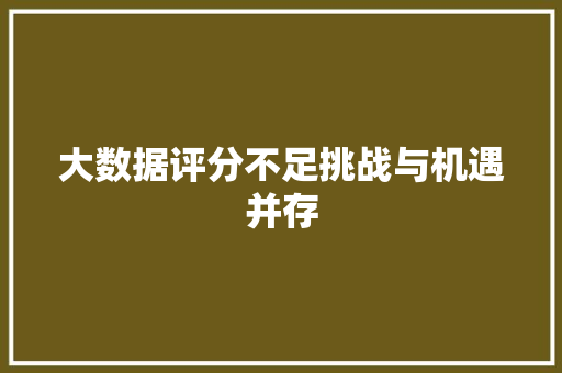 大数据评分不足挑战与机遇并存