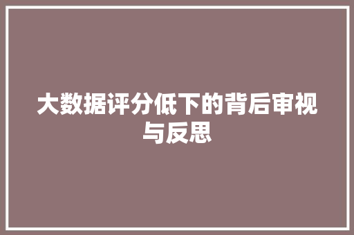 大数据评分低下的背后审视与反思