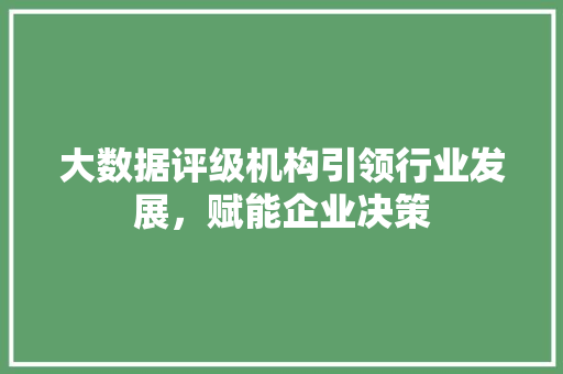 大数据评级机构引领行业发展，赋能企业决策