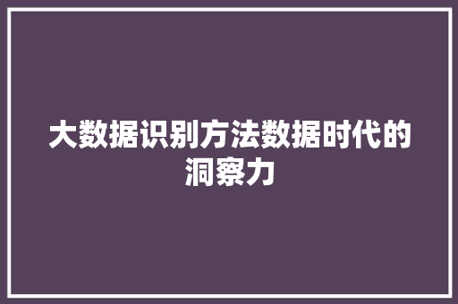 大数据识别方法数据时代的洞察力