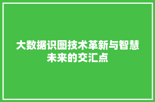 大数据识图技术革新与智慧未来的交汇点