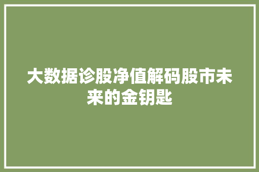 大数据诊股净值解码股市未来的金钥匙