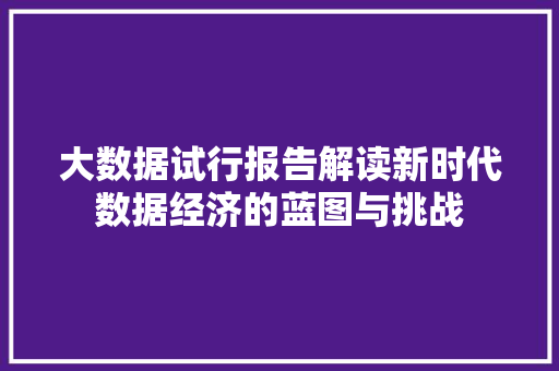 大数据试行报告解读新时代数据经济的蓝图与挑战