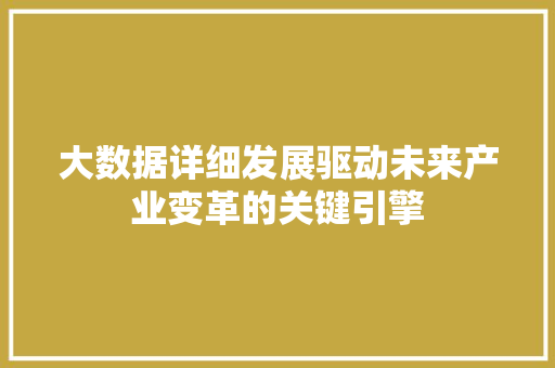 大数据详细发展驱动未来产业变革的关键引擎