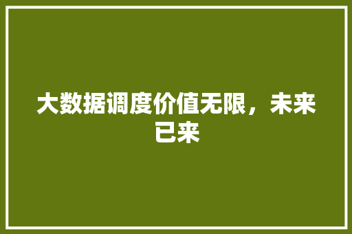 大数据调度价值无限，未来已来