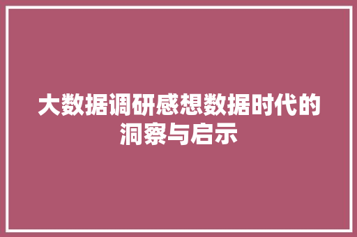 大数据调研感想数据时代的洞察与启示