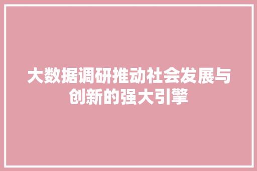 大数据调研推动社会发展与创新的强大引擎