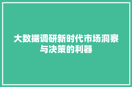 大数据调研新时代市场洞察与决策的利器
