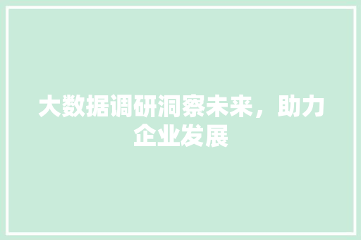 大数据调研洞察未来，助力企业发展