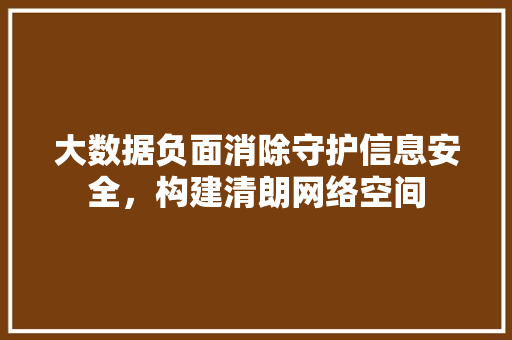 大数据负面消除守护信息安全，构建清朗网络空间