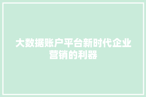 大数据账户平台新时代企业营销的利器