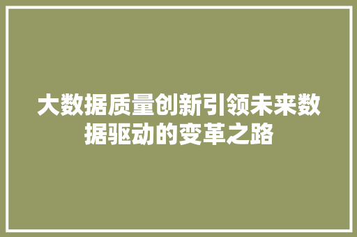 大数据质量创新引领未来数据驱动的变革之路
