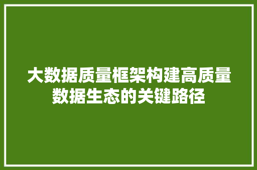 大数据质量框架构建高质量数据生态的关键路径 大数据质量框架构建高质量数据生态的关键路径