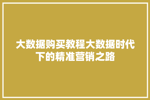 大数据购买教程大数据时代下的精准营销之路