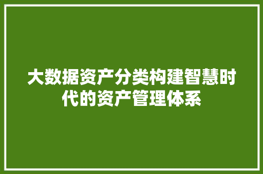 大数据资产分类构建智慧时代的资产管理体系