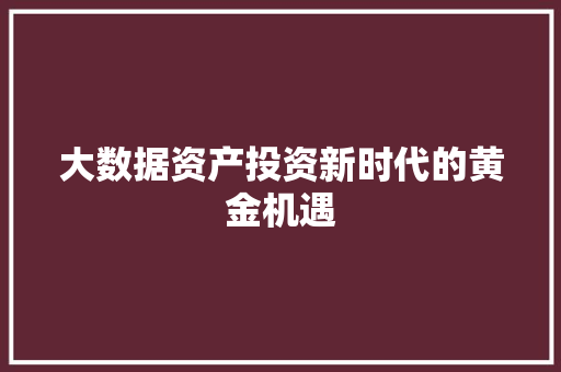 大数据资产投资新时代的黄金机遇