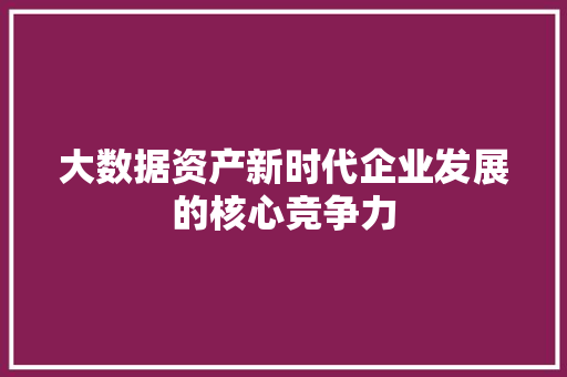 大数据资产新时代企业发展的核心竞争力 大数据资产新时代企业发展的核心竞争力
