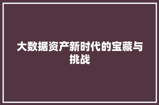 大数据资产新时代的宝藏与挑战 大数据资产新时代的宝藏与挑战