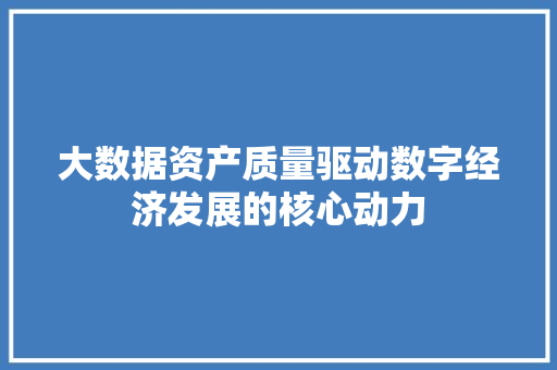 大数据资产质量驱动数字经济发展的核心动力 大数据资产质量驱动数字经济发展的核心动力