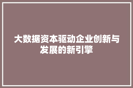 大数据资本驱动企业创新与发展的新引擎