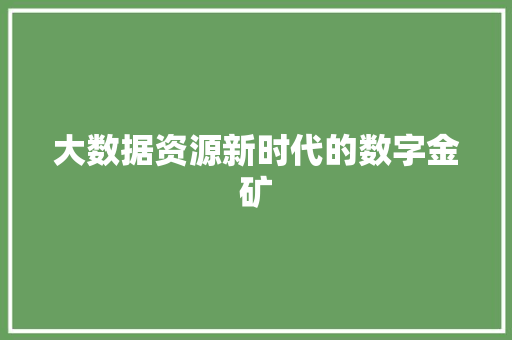 大数据资源新时代的数字金矿 大数据资源新时代的数字金矿