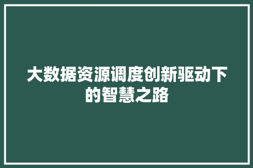 大数据资源调度创新驱动下的智慧之路 编程语言