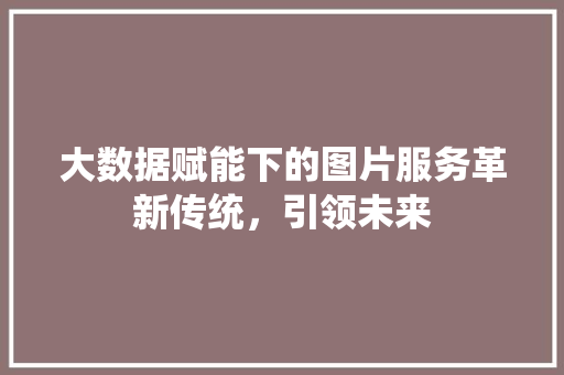 大数据赋能下的图片服务革新传统，引领未来