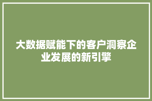 大数据赋能下的客户洞察企业发展的新引擎