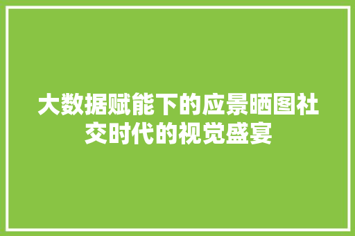 大数据赋能下的应景晒图社交时代的视觉盛宴