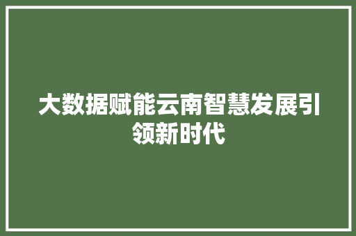 大数据赋能云南智慧发展引领新时代