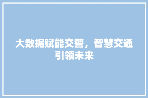 大数据赋能交警，智慧交通引领未来