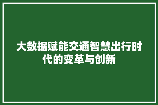 大数据赋能交通智慧出行时代的变革与创新