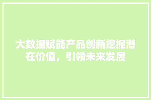 大数据赋能产品创新挖掘潜在价值，引领未来发展