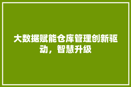 大数据赋能仓库管理创新驱动，智慧升级